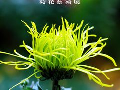 -杭州植物园
