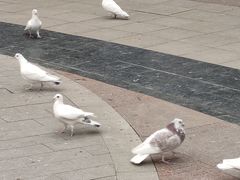 -中粮·祥云小镇