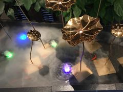 -尚尚仙·酸汤猪手·猪肚鸡火锅(华联万柳购物中心店)