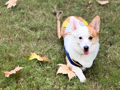 -西北湖绿化广场