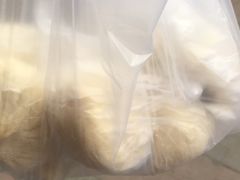 -老陶包子铺(南大西南村店)