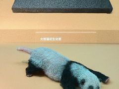 -深圳博物馆历史民俗馆