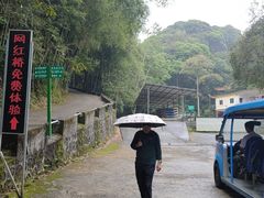-桂山风景旅游区