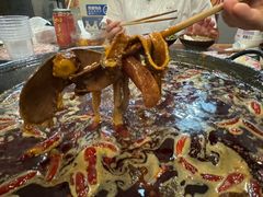 -肥龙火锅(南坪店)