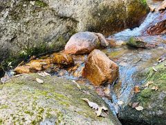 -五女峰国家森林公园