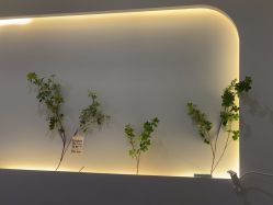 -VE小颜皮肤管理&科学美肤中心