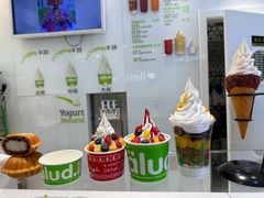 -Salud撒露欧洲冻酸奶(蓝色港湾店)