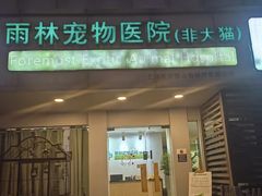 -雨林宠物医院 非犬猫异宠专科