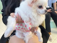 -怪兽屋·羊驼·猫咖·狗咖(俊华广场店)