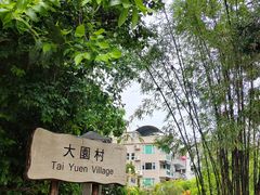 -南丫岛