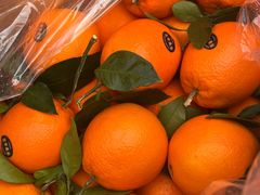 -东方鼎信农副产品交易中心