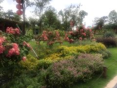 -东莞植物园
