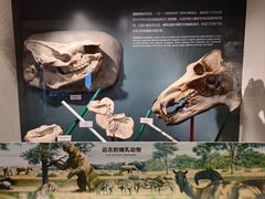 -正佳自然科学博物馆