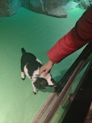 -酷嗒动物文化乐园(cutezoo西溪乐天城店)