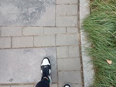 -木塔寺遗址生态公园