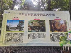 -灵光寺