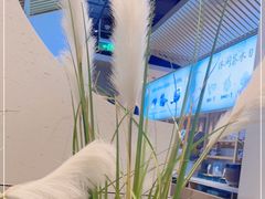 -蜜桃餐厅·伴山(绿宝广场店)