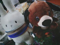-金山农民画村-枫泾波兰倒置屋