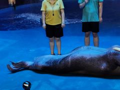 -烟台海昌鲸鲨海洋公园