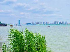 -无锡蠡湖国家湿地公园-蠡园