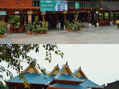 -西双版纳傣族园