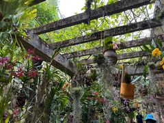 -中国科学院西双版纳热带植物园