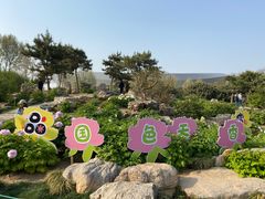 -郑州植物园