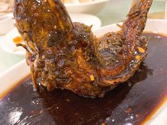 挣蹦鲤鱼-奥华餐厅·老张记(台基厂店)