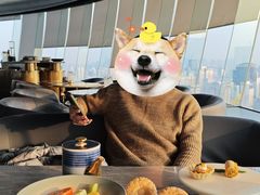 -Hi City·城市之巅