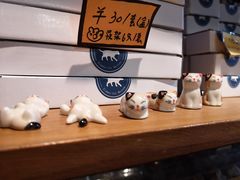 -猫咪博物馆(顶澳仔猫街店)