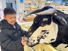 -红星前进面包牛奶公司(君太店)