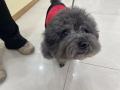 -天宠宠物医院24小时·急重症诊疗中心·全科·腔镜特色(和平分院)