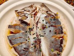 -单家老院·院子里的青岛菜(沙子口店)