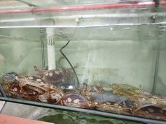 -林记海鲜排档·十年海鲜地标