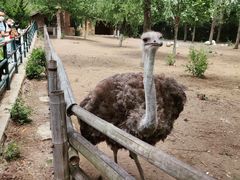 -大连森林动物园