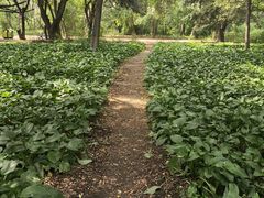 -长春市南湖公园