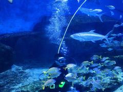 -海合安武汉极地海洋公园