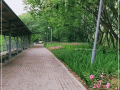 -西湖风景区-江洋畈生态公园