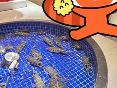 -腾阁自助餐厅(朝林广场店)