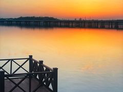 -丁香湖公园
