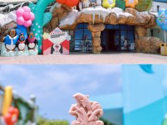 -海合安成都极地海洋公园