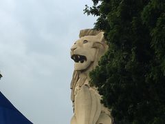 -圣淘沙天际线斜坡滑车