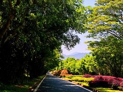 -福建鲤鱼洲酒店