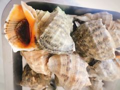 -渔民船说·北塘海鲜·天津菜·海肠捞饭(北塘古镇店)
