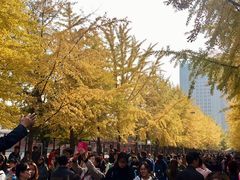 -辽宁大学(崇山校区)