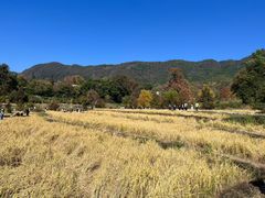 -塔川景区