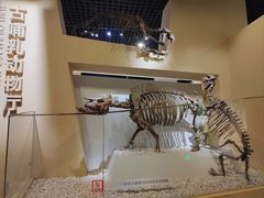 -国家自然博物馆