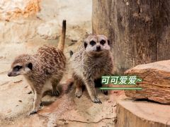 -正佳极地海洋世界