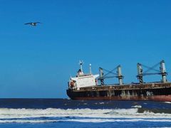 -羊亭河湿地公园