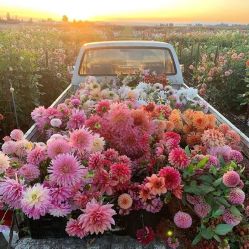 -南闸医院月子中心